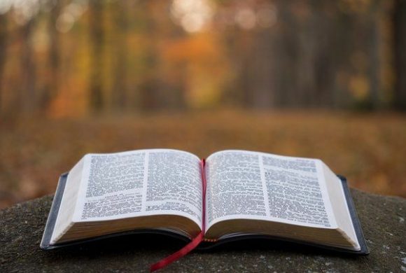 Rekolekcje lectio divina z Piotrem