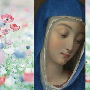 Dziś, tj. 12 lipca, rozpoczynają się rekolekcje z Maryją w Skrzatuszu, a 14 lipca – w Czmońcu