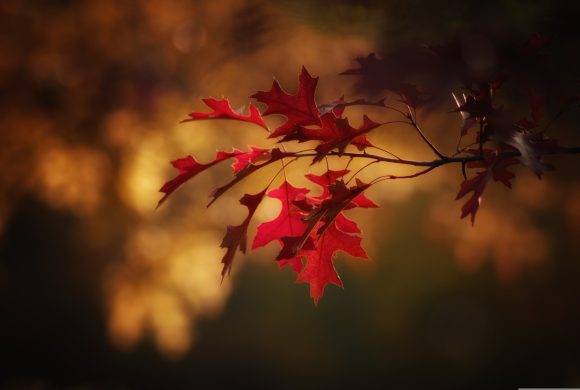 Rekolekcje z bł. Stefanem Wyszyńskim