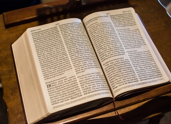 “Udręki człowieka Biblii. Hiob, Kohelet i inni…”