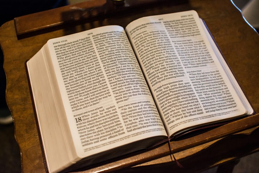 “Udręki człowieka Biblii. Hiob, Kohelet i inni…”