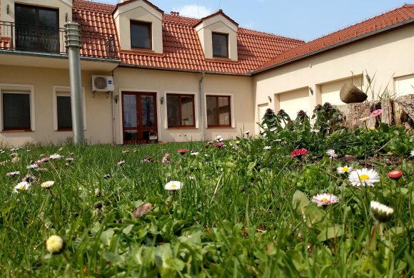 LATO W DOMU W CZMOŃCU