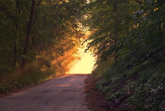 Uczniowie Krzyża z Zielonej Góry w Legnicy