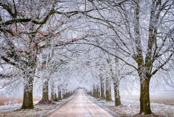 Zapraszamy  do słuchania słowa Bożego w ciszy